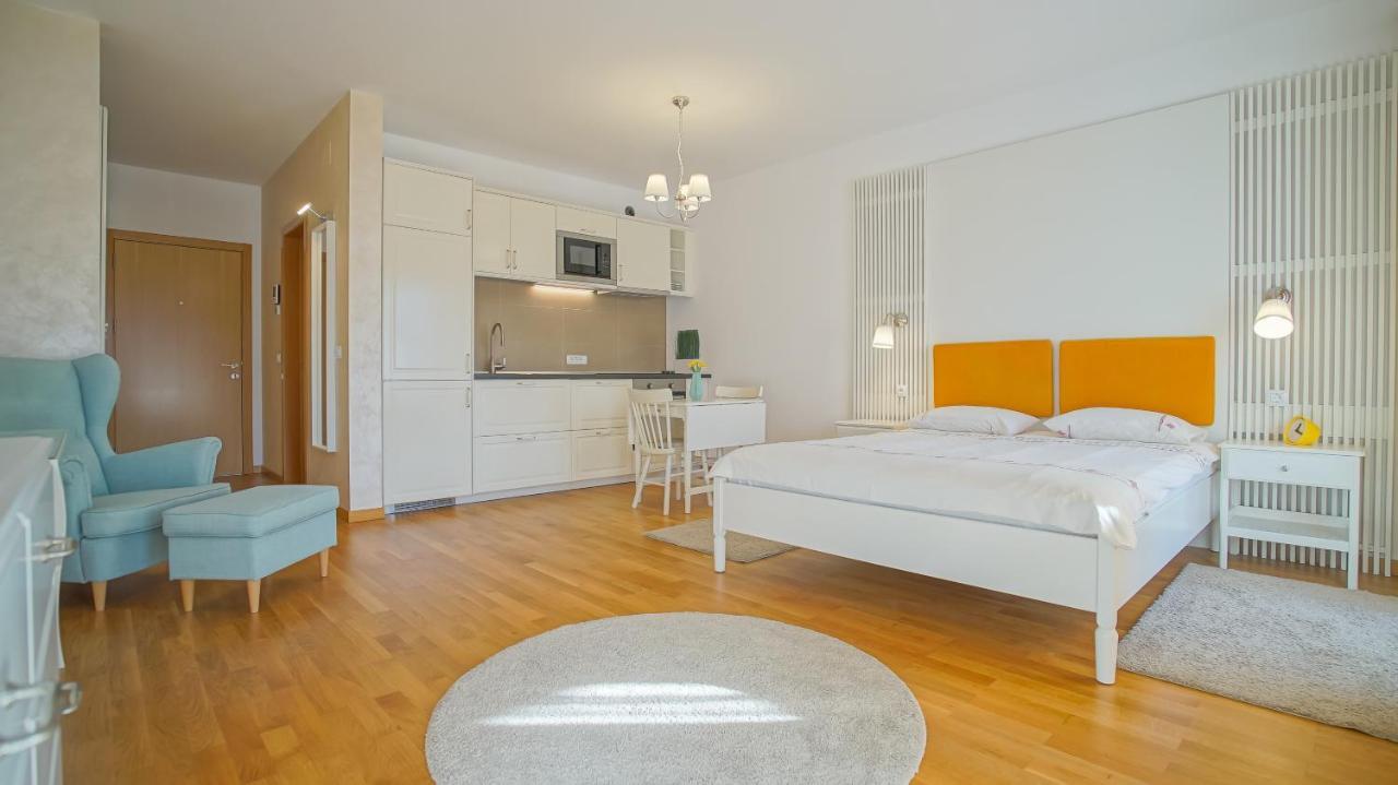 Downtown Premium Apartments 브라쇼브 외부 사진